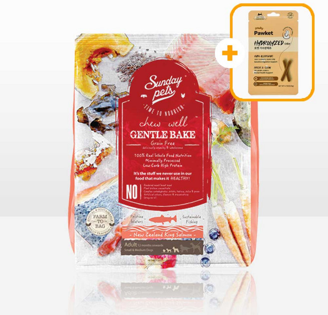 젠틀베이크 그레인프리 오븐베이크 강아지사료 + 증정 강아지껌, 1개, 1.3kg, 연어