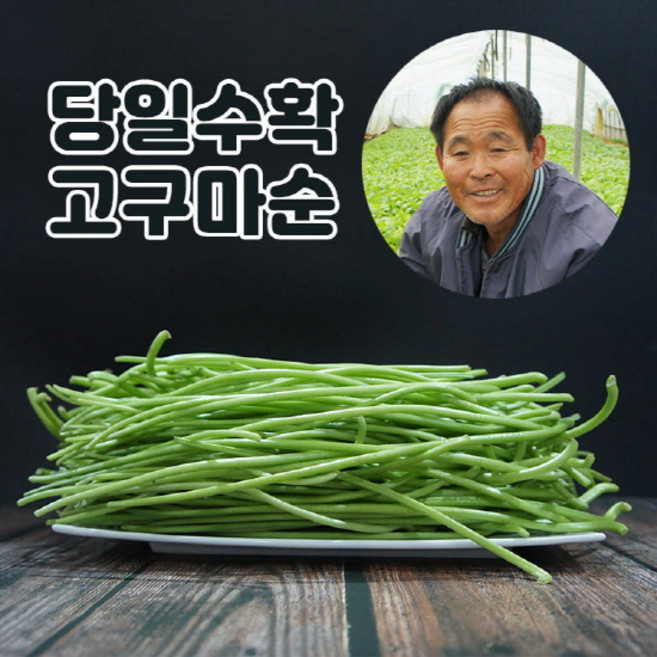 당일채취 이영만 고구마줄기 생 고구마순 1kg 옵션선택 잎제거 제철나물, 1개, 1kg(1개)