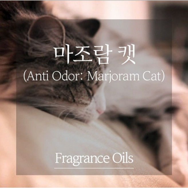 스위스 안티오더 마조람 캣 프레그런스오일, 500ml, 1개