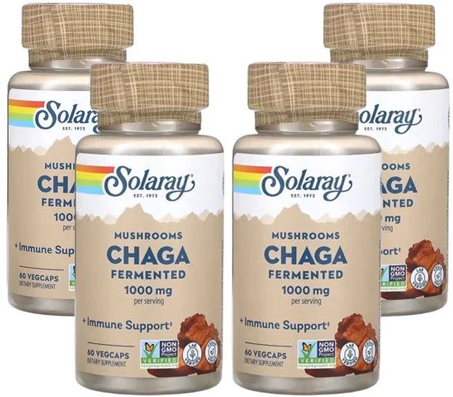 솔라레이 발효 차가버섯 1 000mg 60베지캡슐(캡슐당 500mg), 4개, 60정 - 쿠팡