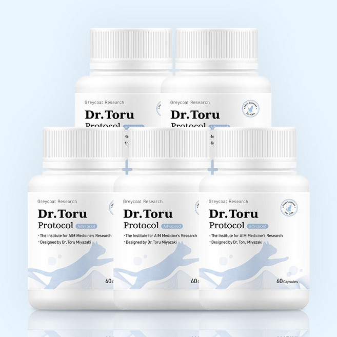 야옹섬 닥터토루 고양이 AIM 신장영양제 5개입 동물병원용 신부전 레날, 60회분, 신장, 5개