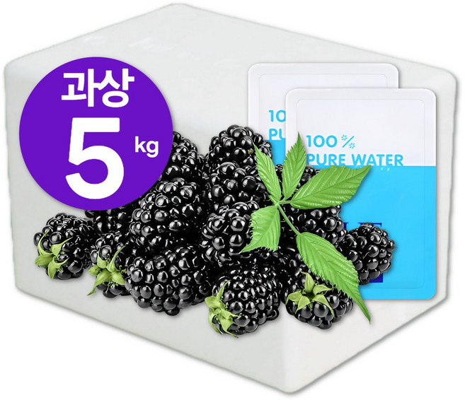 [높은당도/생과섭취] 2025년 최상급 과상오디 대용량 100% 국산, 1개, 5kg