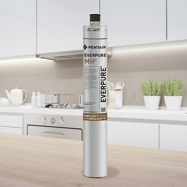 EVERPURE MH-2濾心《原裝進口》美國淨水器 有效去除雜質異味 確保飲用水安全, 1個, 單入裝(黑水保固), 單入裝(黑水保固)
