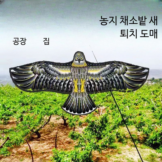 논밭 조류 퇴치기 참새 대형 독수리 모형 새 쫓는 장치, Q_1.6m 독수리 10개 벨+케이블, 10개, 1000ml