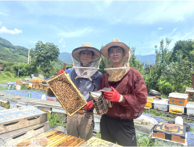 두남꿀 자연산 25년 햇꿀 아카시아 500g 1.2kg 2.4kg 천연꿀 꿀선물, 1개