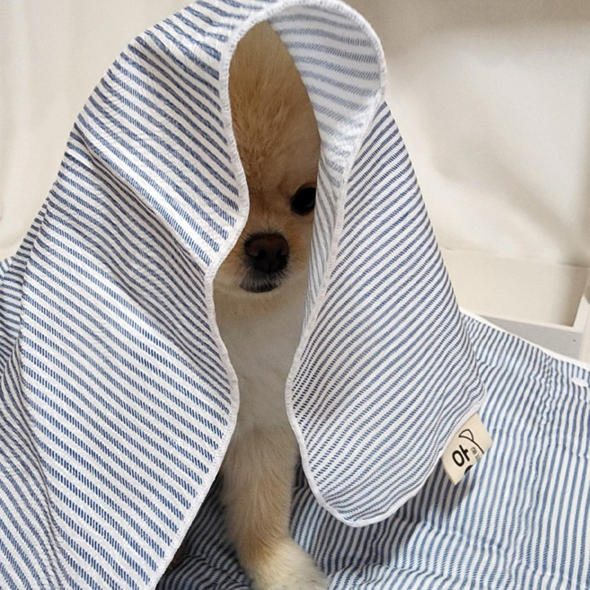 해피앤퍼피 시원한 강아지이불 20가지 디자인 강아지 고양이 여름 인견블랭킷 오가닉블랭킷 낮잠이불 담요, 블루스트(인견)