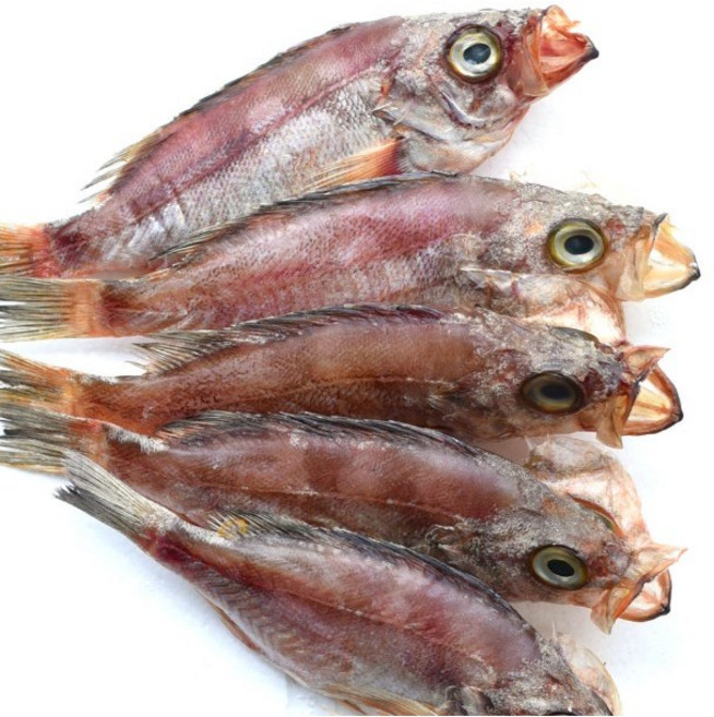 국내산 남해안 반건조 손질 볼락 열기 700g 1.4kg, 1개, 손질 볼락 700g(4-8미)