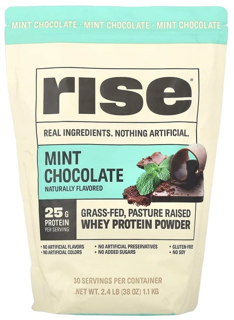 Rise 라이즈 프로틴 파우더 유청단백질 분말 민트초콜릿 1.1kg, 1개 - 쿠팡