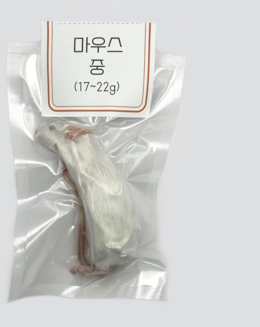<쥐선생>냉동마우스 1마리 단품 [중] 17~22g(진공포장), 1개, 20g