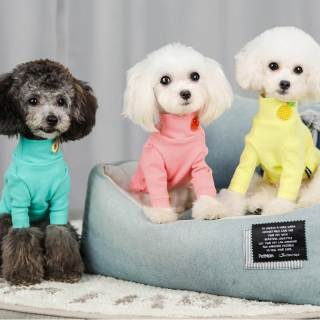 도그월드 강아지옷 사계절 마카롱 티셔츠, 02 데일리 마카롱티, 민트, 1개