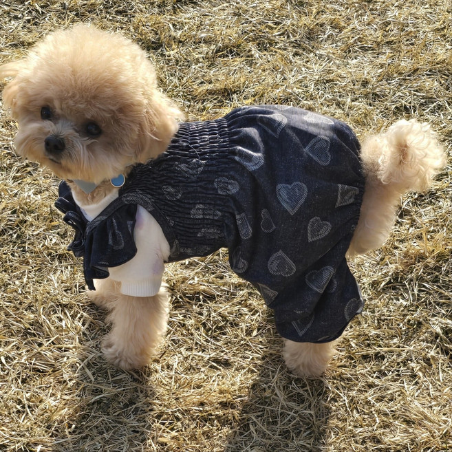 강아지 청올인원 하트 데님 호박바지 멜빵 오버롤 올인원, 1개, 네이비