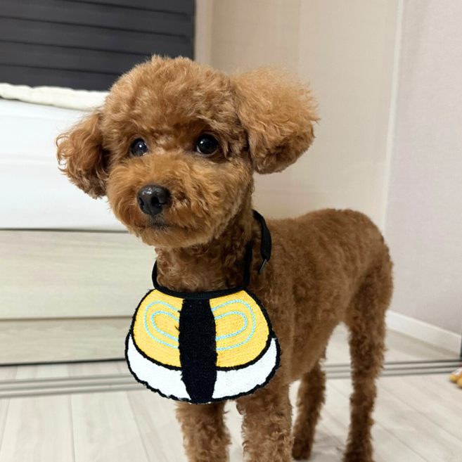 큐리파이 재밌는 강아지 케이프 스카프 턱받이, 1개, 계란초밥