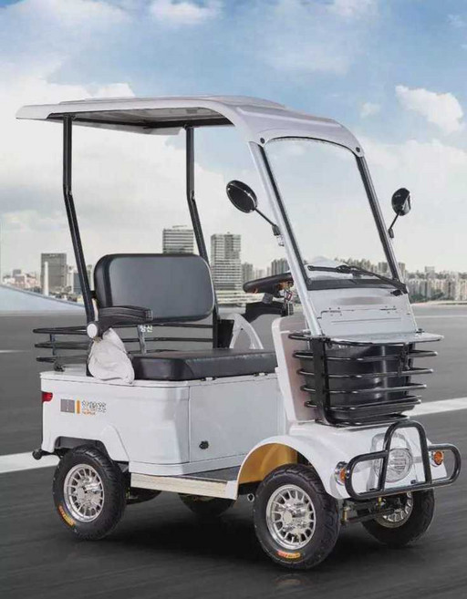 아리샵 노인전동차 전동차지붕 효도선물용 어르신, 상세페이지 참고, 2인 1000W 60V25A 리튬 차양