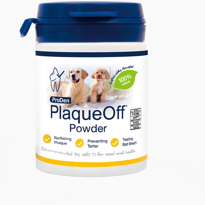 프로덴 플라그오프 강아지 치석제거 파우더+칠면조 터키츄링 3개, 1개, 구강/치석관리, 40g
