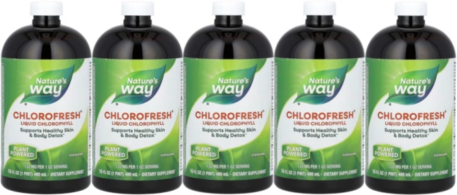Nature's Way 클로로프레쉬 액상 엽록소 무맛 480ml, 5개 - 쿠팡