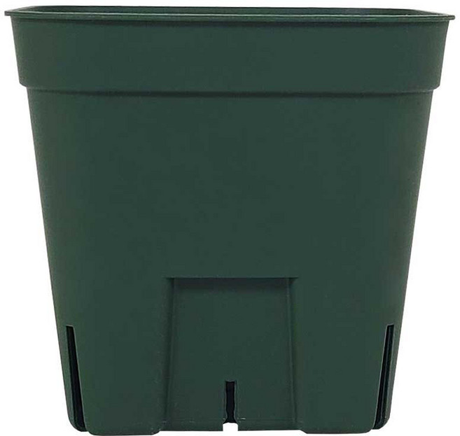 영농사 프레스테라 사각 슬릿화분, 숏타입 소 - 모스그린, 1개, 모스그린