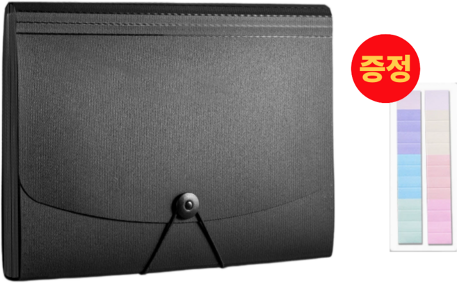 지나로 고품격 대용량 13칸 아코디언 파일케이스, 1개, 블랙