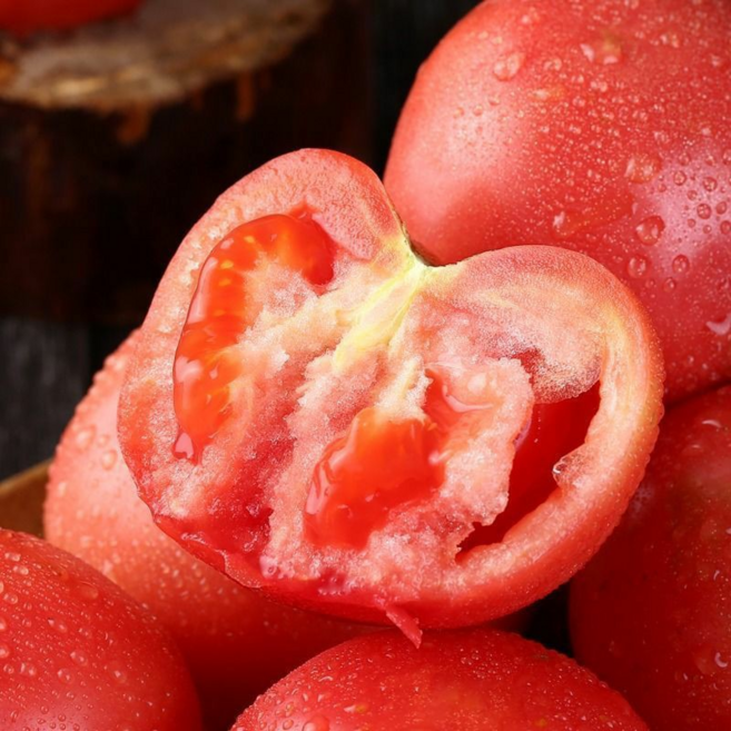 [100박스초특가] 오늘수확한 산지직송 탱글촉촉 완숙토마토, 1박스, 5kg 대과