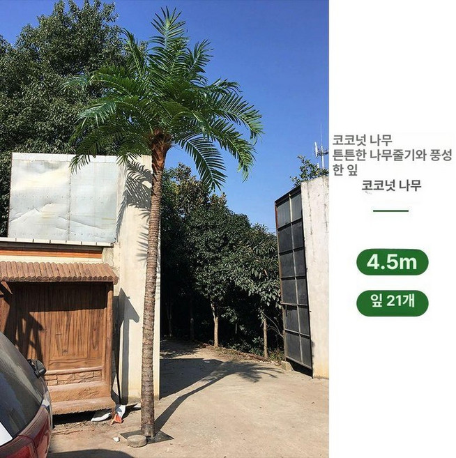 인테리어 인조나무 대형 코코넛 모형 야외 야자수가짜, 진짜 나무줄기 4.5m 대전시 21잎
