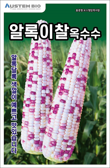 주주씨앗 알록이찰옥수수 씨앗 150립 얼룩찰옥수수 씨앗 다수확 통큰 옥수수, 1개