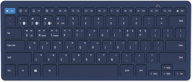 엑토 슬림 키스킨 블루투스 무선 겸용 텐키리스 키보드, 네이비, BTK-12