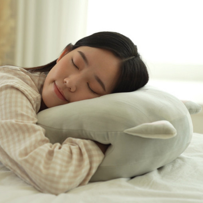 핸디포켓 쿠션 낮잠 고양이 모찌 베개 안아주라냥 아르셰, 연그레이