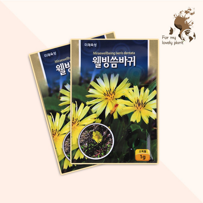 웰빙씀바귀 1g 미래종묘 민속특수 씨앗, 1개