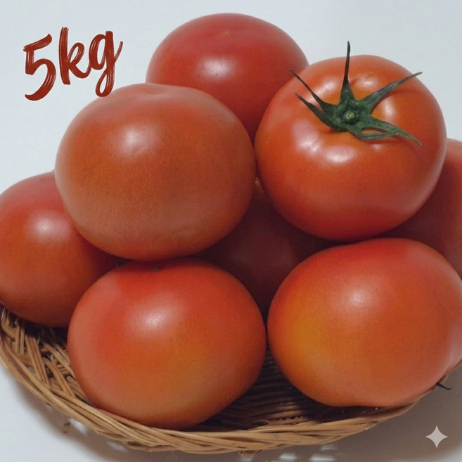 토마토)정품 특 ~2번알A(국내산, 1개, 5kg