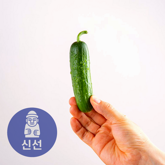 신선상회 미니오이 산지직송 재구매1위, 1박스, 신선 2kg
