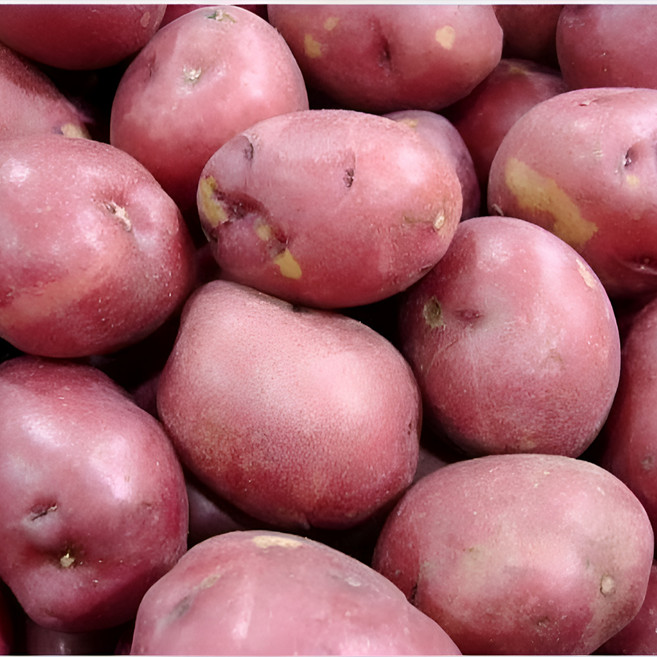 26년산 산지직송 고품위 햇 홍감자, 1박스, 3kg(대)