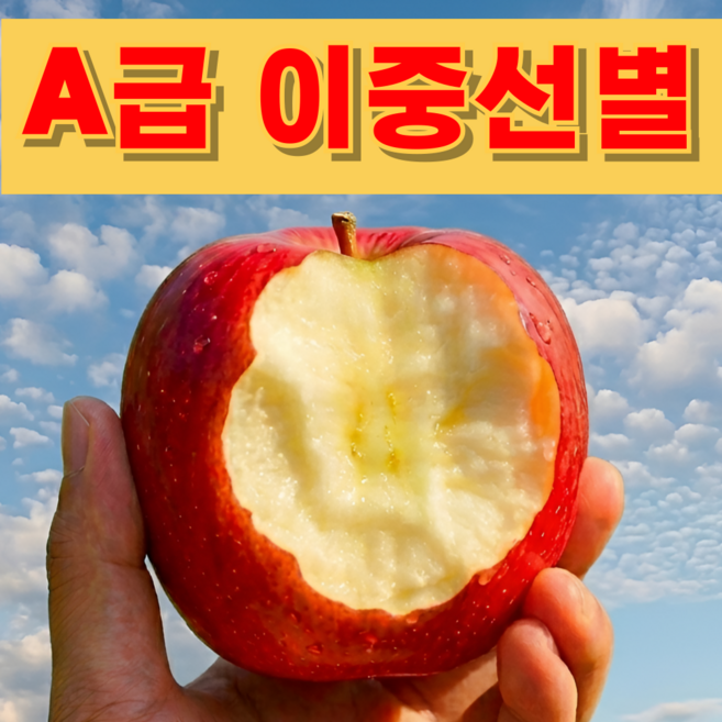 [100박스한정특가] 당도선별 산지직송 못난이사과 초특가, 1박스, 5kg