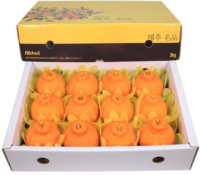 삼다몰 제주 한라봉 선물세트 3kg 5kg 10kg, 1박스, 한라봉(중) 3kg(11~13과)