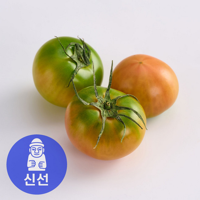 [타임특가] 농장직송 부산 대저 토마토 2.5kg, 1박스, 2.5kg 실속 (L)