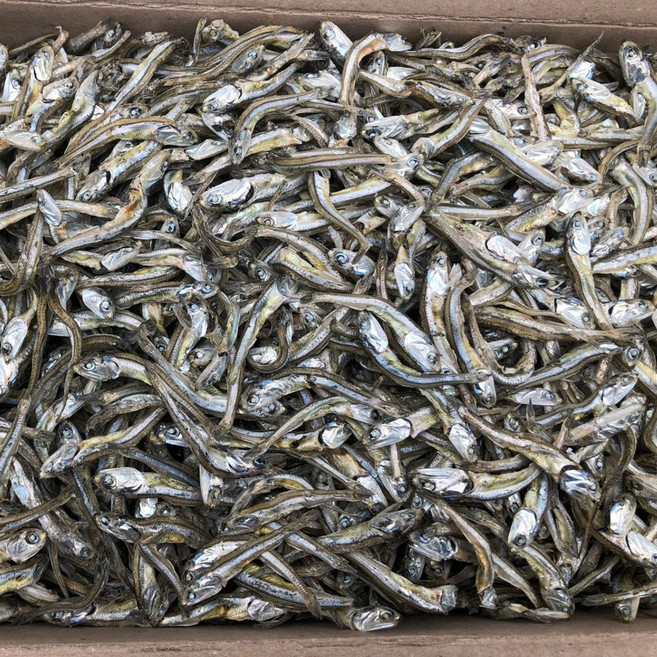 신건호멸치 안주/조림용 소멸치(상급) / 고추장멸치 볶음멸치, 1kg, 1개