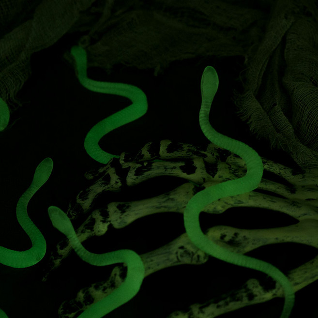 럭셔리할로윈 리얼장식 뱀모형 한팩 [야광]