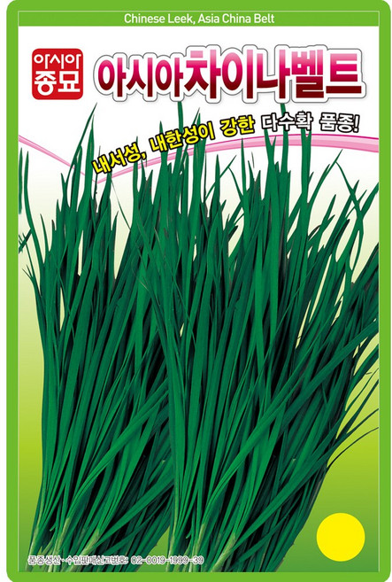 아시아차이나벨트 부추 씨앗 20g 차이나벨트 연중재배 부추씨 종자, 1개