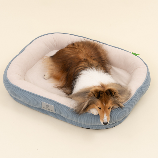 홀릭하임 슬개골 보호 강아지 폼 방석 노령견 극세사 쿠션 분리세탁, 1개, Dust블루