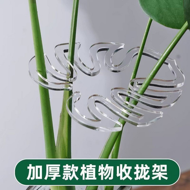 龜背竹支撐桿 植物防倒伏支架 綠植固定神器, 1件, 活動中【綠植固定器】剩餘時間：01:29,全新升級：加厚1個裝【防摔-不易斷】, 圖片色