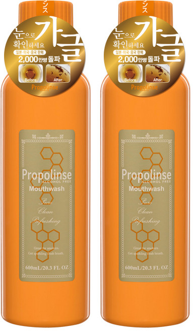 프로폴린스 프로가글 600ml 찌꺼기가글 구강청결제 입냄새제거제, 2개