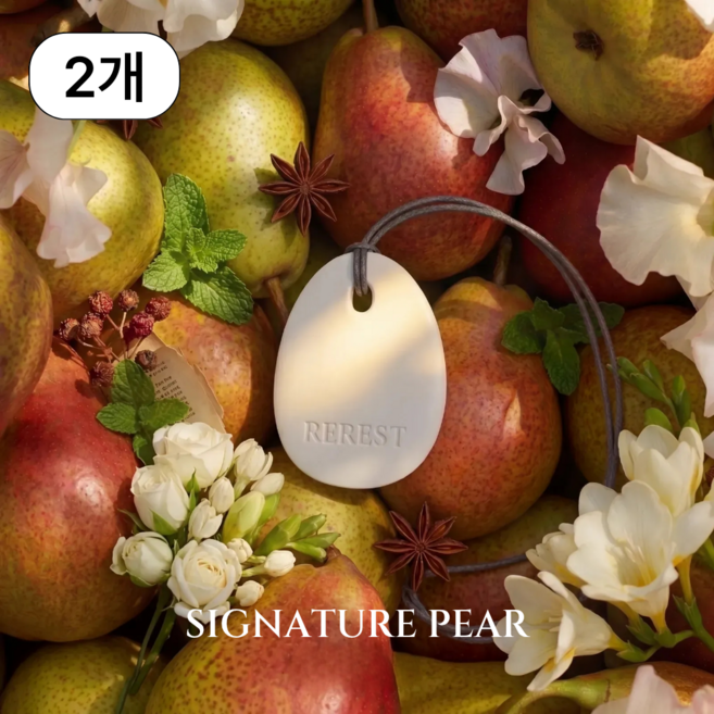 리레스트 명품 차량용 방향제 퍼퓸 테라코타 디퓨저, 시그니처페어, 2개