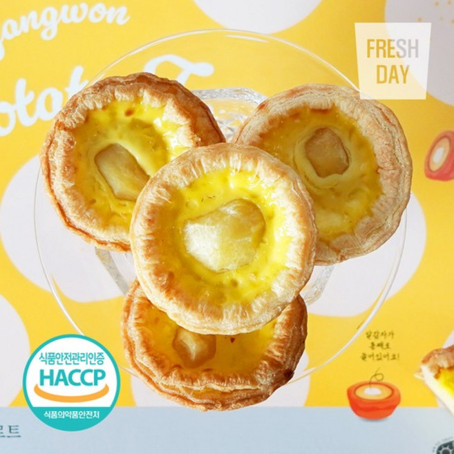 [농협] 겉바속꾸 강원 알감자 에그 타르트 12개*4세트 (48개/선물용), 상세 설명 참조, 상세 설명 참조