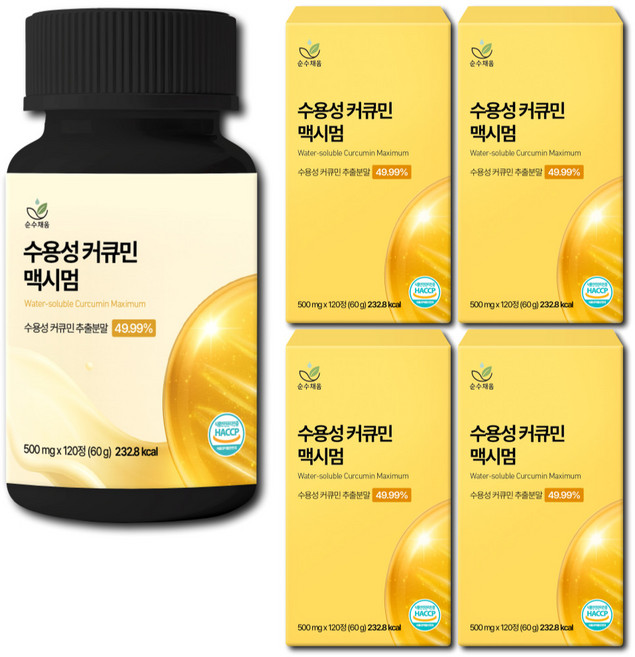 [4개월분] 강황 수용성 커큐민 식약청 HACCP 인증 (대용량), 5개, 120정