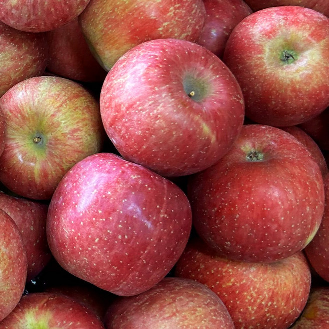 껍질째먹는 정품 세척사과 중소과, 1박스, 4kg