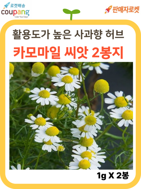씨드림몰 카모마일 종자 허브 씨앗 캐모마일 주말농장 샐러드 텃밭, 2개