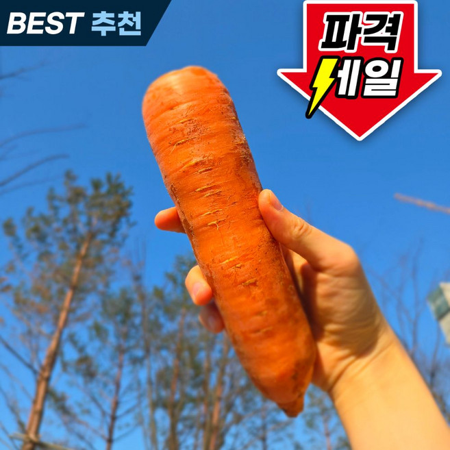 26년 산지직송 제주 구좌 햇 당근, 1박스, 10kg(왕사이즈)
