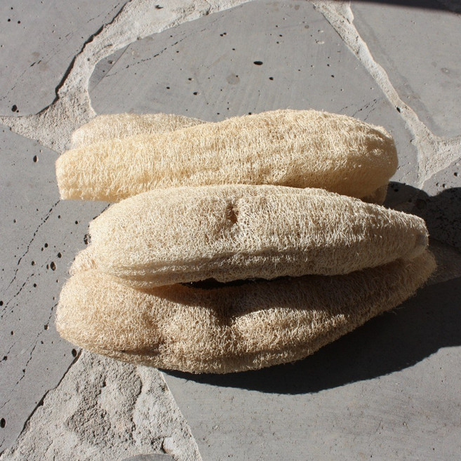 못난이 천연수세미 5개 - 국산 친환경수세미 30~40cm, 1세트