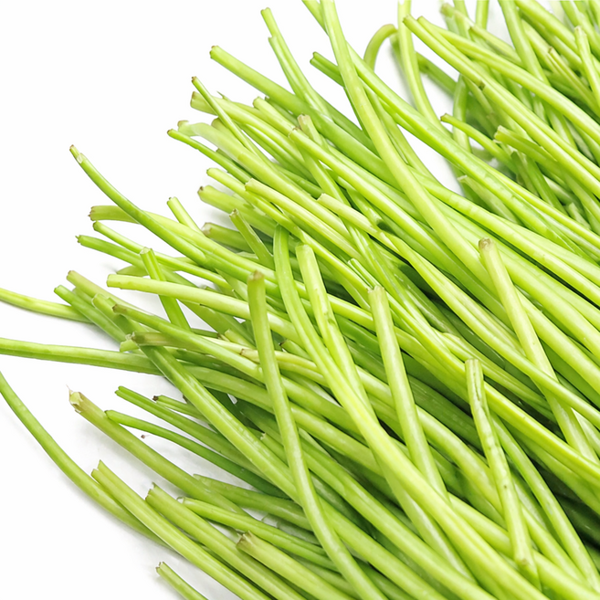 26년 햇 고구마순 생고구마순 고구마줄기, 1개, 1kg