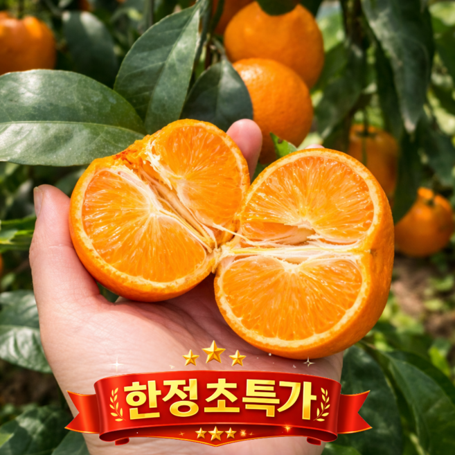 제주 카라향 감귤 고당도 산지농장직송 (한라봉 계열), 1박스, 3kg(스토어추천)