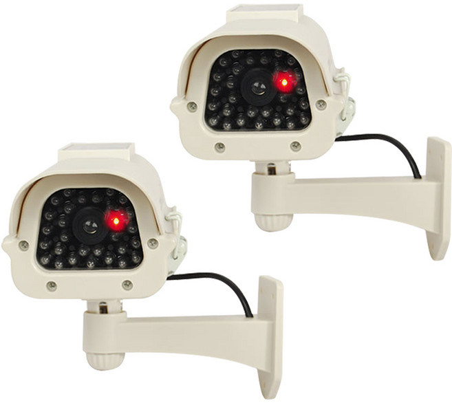 다감컴퍼니 태양열 최고급형 적외선 IR 카메라 화이트 2p, 2개