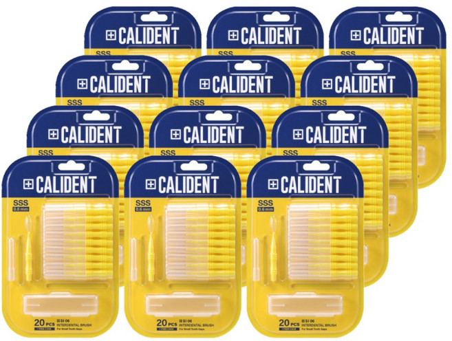 2080 칼리덴트 치간칫솔 마이크로, 0.6mm, 20개입, 12개